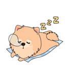 Cute Pom-Pom（個別スタンプ：9）