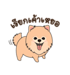 Cute Pom-Pom（個別スタンプ：14）