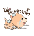 Cute Pom-Pom（個別スタンプ：15）