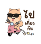 Cute Pom-Pom（個別スタンプ：16）