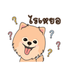 Cute Pom-Pom（個別スタンプ：20）