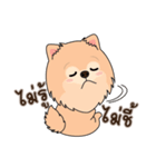 Cute Pom-Pom（個別スタンプ：21）