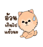 Cute Pom-Pom（個別スタンプ：23）