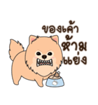 Cute Pom-Pom（個別スタンプ：29）