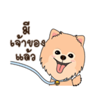 Cute Pom-Pom（個別スタンプ：34）