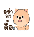 Cute Pom-Pom（個別スタンプ：36）