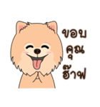 Cute Pom-Pom（個別スタンプ：40）