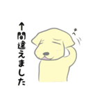ゴールデンレトリバー犬と猫とパンダ。（個別スタンプ：12）