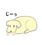 ゴールデンレトリバー犬と猫とパンダ。（個別スタンプ：33）
