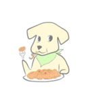 ゴールデンレトリバー犬と猫とパンダ。（個別スタンプ：35）