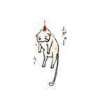 筆舌に尽くしがたい猫（個別スタンプ：40）