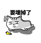 chao hu cat part11（個別スタンプ：29）