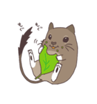 デグーのデグちゃん（個別スタンプ：17）