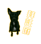 Da-dog（個別スタンプ：2）