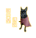 Da-dog（個別スタンプ：4）