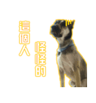 Da-dog（個別スタンプ：7）