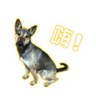 Da-dog（個別スタンプ：8）