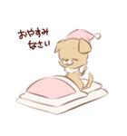 愉快なチワワ一家（個別スタンプ：2）