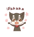 愉快なチワワ一家（個別スタンプ：6）