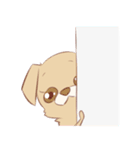 愉快なチワワ一家（個別スタンプ：11）