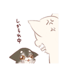 愉快なチワワ一家（個別スタンプ：12）