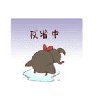 愉快なチワワ一家（個別スタンプ：13）