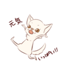 愉快なチワワ一家（個別スタンプ：16）