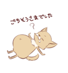 愉快なチワワ一家（個別スタンプ：20）