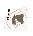 愉快なチワワ一家（個別スタンプ：36）