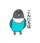 ボタンインコです。（個別スタンプ：2）