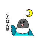 ボタンインコです。（個別スタンプ：3）