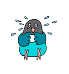 ボタンインコです。（個別スタンプ：9）