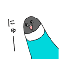 ボタンインコです。（個別スタンプ：14）