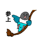 ボタンインコです。（個別スタンプ：15）