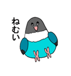 ボタンインコです。（個別スタンプ：16）