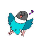 ボタンインコです。（個別スタンプ：21）