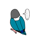 ボタンインコです。（個別スタンプ：23）
