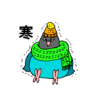 ボタンインコです。（個別スタンプ：27）
