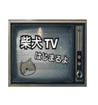 【柴犬TV】デカ文字（個別スタンプ：1）