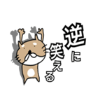 【柴犬TV】デカ文字（個別スタンプ：36）