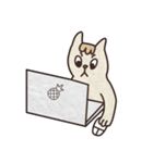 meow room（個別スタンプ：17）