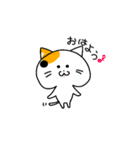 ねこと時々ぴよこ（個別スタンプ：1）
