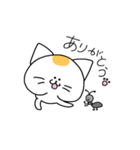 ねこと時々ぴよこ（個別スタンプ：2）