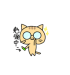 ねこと時々ぴよこ（個別スタンプ：4）