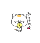 ねこと時々ぴよこ（個別スタンプ：8）