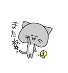 ねこと時々ぴよこ（個別スタンプ：11）