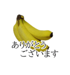 バナナの実写スタンプ（個別スタンプ：5）