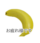 バナナの実写スタンプ（個別スタンプ：8）