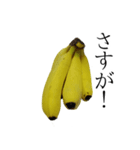 バナナの実写スタンプ（個別スタンプ：12）