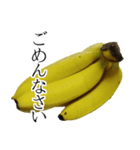 バナナの実写スタンプ（個別スタンプ：16）